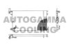 AUTOGAMMA 102756 Condenser, air conditioning